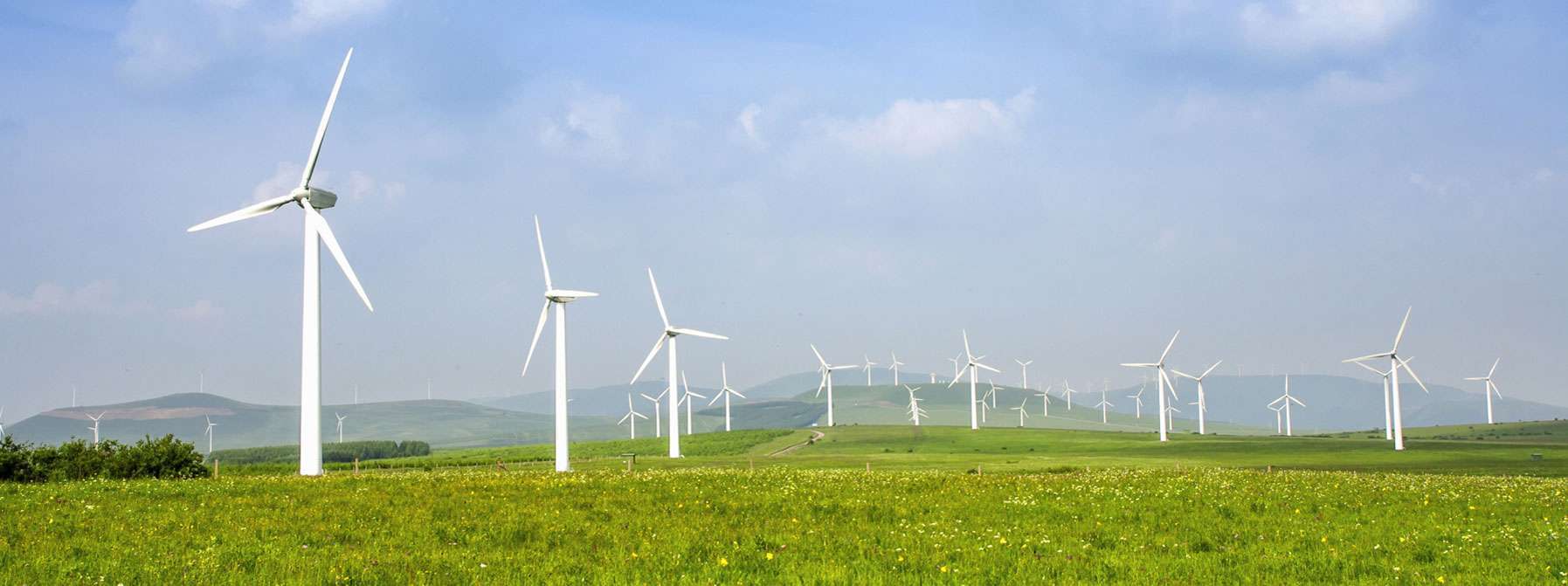 Windmill farm